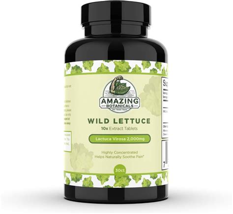 Amazon.com: Wild Lettuce Extract Tablets 10X (30 Tablets) 2,000MG Each ...