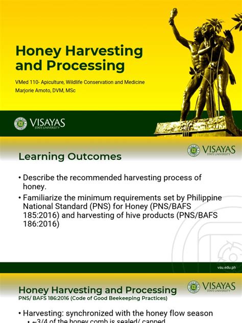 11 Honey Harvesting and Processing | PDF