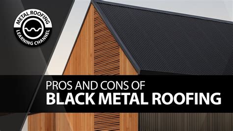 Black Metal Roofing Panels [Pros, Cons + House Pics] Matte Black Standing Seam And Corrugated ...