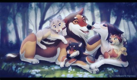 Pin by AeonNovasaF on Tazihound | Anime wolf drawing, Cute animal ...