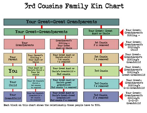 What cousin are they? -How to understand family relationships - Root To Branches | Family ...