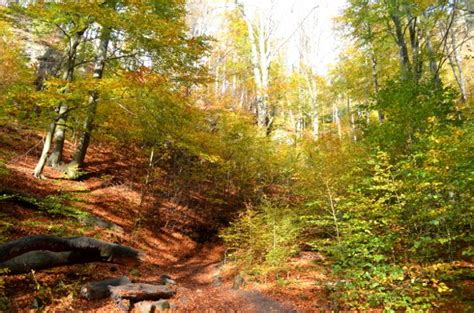 Bohemian Switzerland day trip: A practical guide | GnomeTrotting