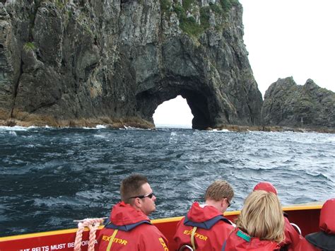 The famous hole in the rock in New Zealand | The rock, New zealand, Places