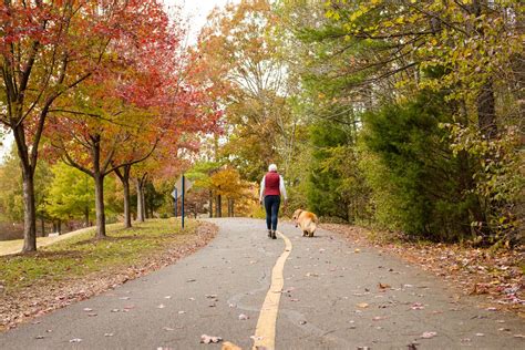 Fall Dog Photoshoot: your Ultimate Guide! | Top Raleigh Pet Photographer- Paws Fur Joy Photography