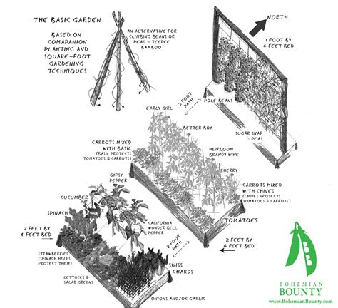 Square Foot Raised Bed Companion Planting Garden Layout / Best Vegetable Garden Layouts For ...