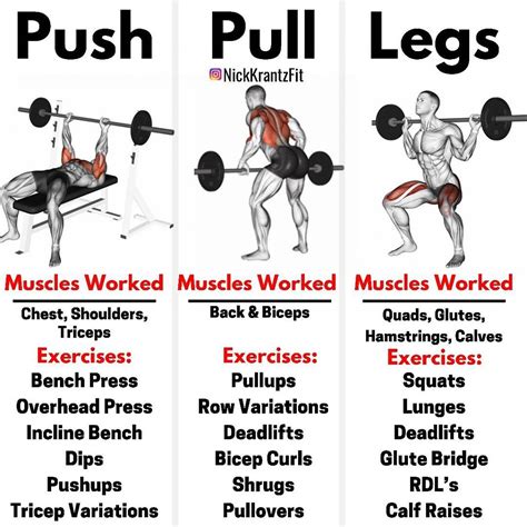 Push pull legs weight training workout schedule for 7 days – Artofit