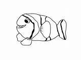 Fish Printable Coloring Pages sketch template