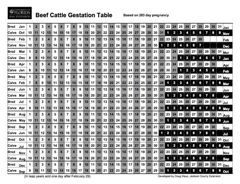 gestation table for beef cattle | Alive & Well in Kansas