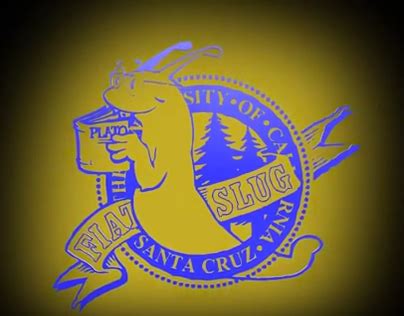 UCSC Alumni Association - Banana Slug Bonanza on Behance