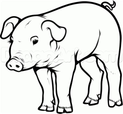 pig drawing - Saferbrowser Yahoo Image Search Results | Animal drawings ...