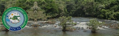 Sierra Leone launches Climate Change Adaptation Plan to save wetlands – SIERRA LEONE TELEGRAPH