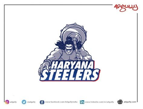 Haryana Steelers launches new logo for Pro Kabaddi League 2021