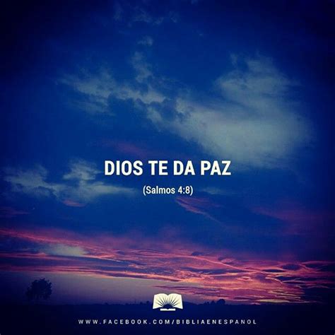 Dios nos da paz que sobrepasa todo entendimiento. Biblical Verses ...