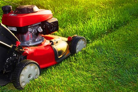 Why is Mowing Your Lawn So Important | Hi Quality Turf