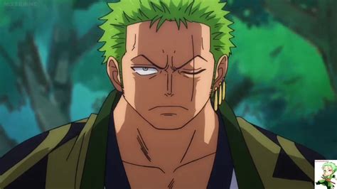 One Piece Zoro Land Of Wano