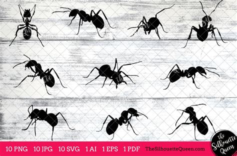 Ant Silhouette Clipart Clip Art(AI, EPS, SVGs, JPGs, PNGs, PDF), Ant Clip Art Clipart Vectors ...