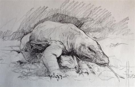 Dragón de Komodo. Dibujo a lápiz Francisco Javier Abellan | Dragón de komodo, Dibujos, Dibujos a ...