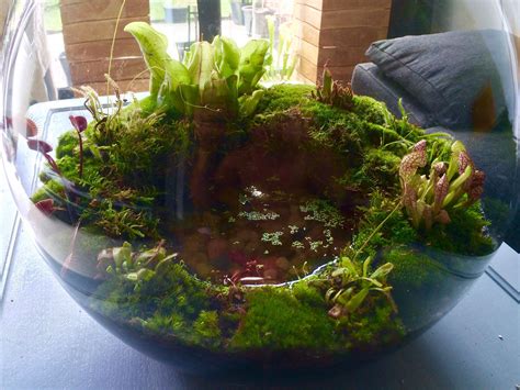 The Best 5 DIY Fairy Terrarium Indoor Garden Design Ideas https ...