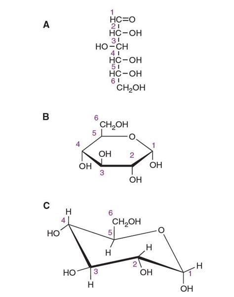 glucose 2 | Ilmu Kimia