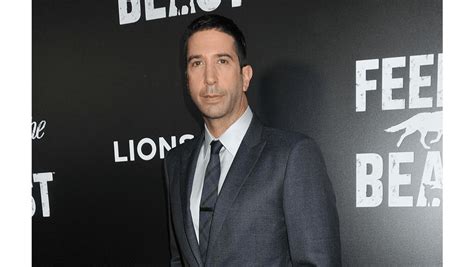 David Schwimmer taking time apart from wife - 8days