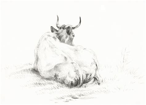 Lying cow (1821) by Jean | Free Photo Illustration - rawpixel