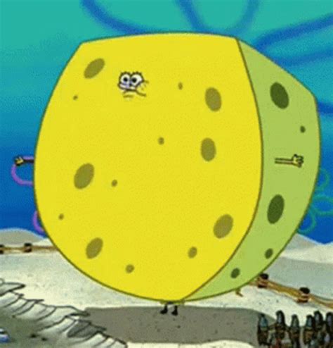 Spongebob Squarepants Spongeguard On Duty GIF - Spongebob Squarepants ...