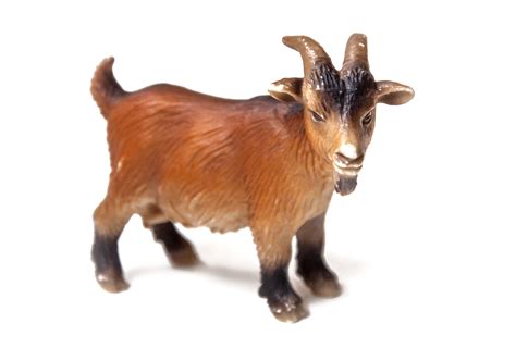 Free photo: Goat plastic toy for kids - Animal, Unreal, Toy - Free ...