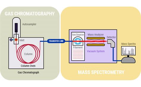 Chromatography Explained: How Mass Spectrometry Adds Information to ...