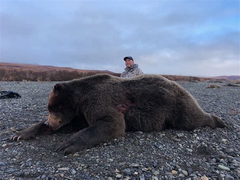 Arctic Grizzly Bear Hunting - OUTDOORS INTERNATIONAL