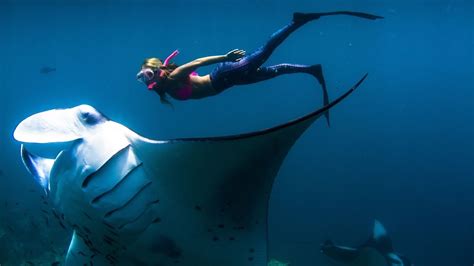 Swim with Manta Rays in Nusa Lembongan – From Bali