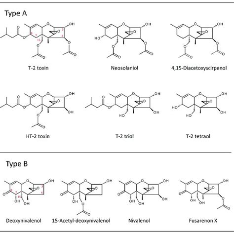 Chemical structures of important trichothecenes. | Download Scientific ...