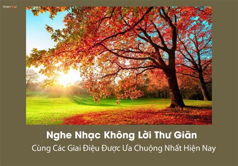 Nghe Nhạc Không Lời Thư Giãn Cùng Các Giai Điệu Được Ưa Chuộng Nhất Hiện Nay