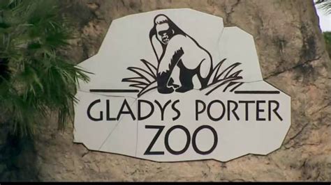 Gladys Porter Zoo - Visit Brownsville Texas