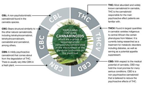 What Is CBN [Cannabinol] And What Are The Benefits | CBD Nerds