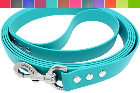 Biothane Dog Leash ~ 1" wide for Big Dogs ~ Collars by Kitt