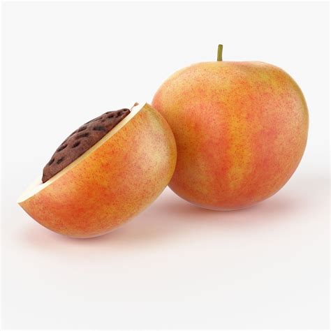 Realistic Peach 3D Model .max .obj .fbx .c4d - CGTrader.com