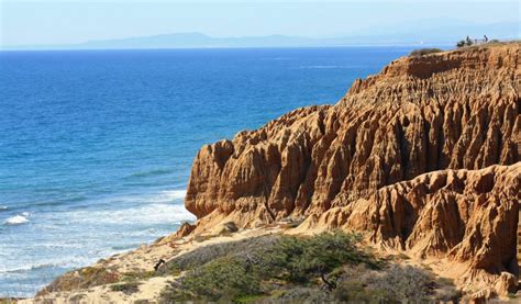 Torrey Pines State Natural Reserve, San Diego, CA - California Beaches