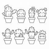 Cactus Plants Coloring Page Pages sketch template