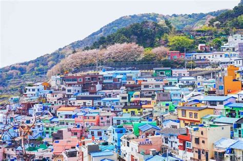 Busan, South Korea — Culture Traveler