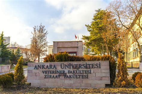 Ankara University Becomes First Higher Education Institution in Turkey to Offer a Course on NFTs ...