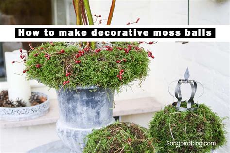 How to Make DIY Moss Balls - An Easy, Low-Cost DIY Project - Songbird