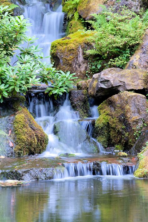 Pin by Jan Amiss on Oriental Gardens | Garden waterfall, Waterfall, Outdoor