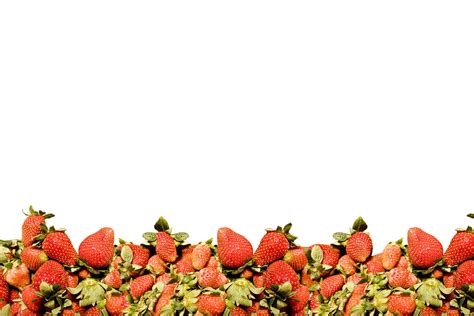 Strawberry Border Free Photo Download | FreeImages