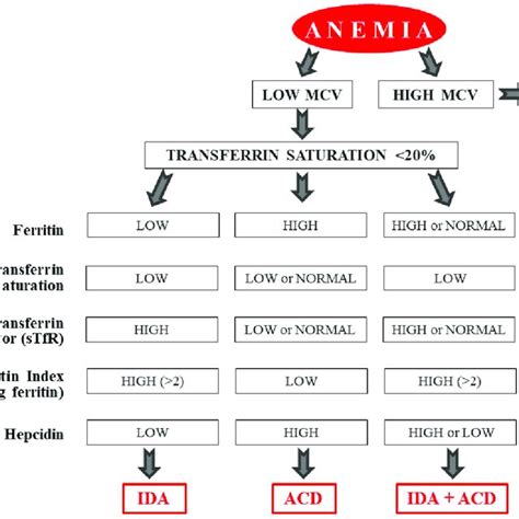 Clinical manifestations of celiac disease and their association with ...