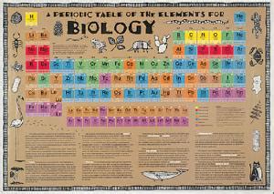 Periodic Table of the Elements for Biology | Boreal Science