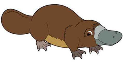 Platypus clipart 2 - WikiClipArt