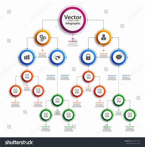 Business Hierarchy Organogram Chart Infographics Corporate Stock Vector ...