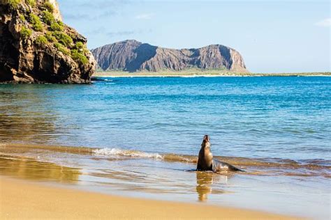 Galápagos Islands - Wikipedia