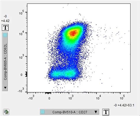 Great Way to Look at CD27 Expression on CD8s | Biocompare Antibody Review