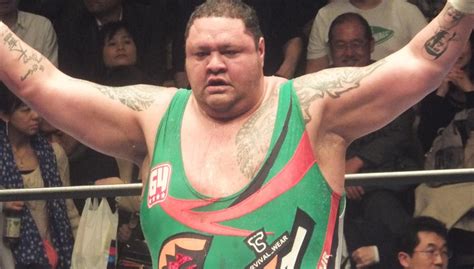 Akebono | Puroresu System Wiki | FANDOM powered by Wikia